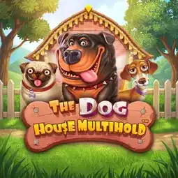 The Dog House Multihold gra w Milkyway Casino dla graczy z Polski The Dog House Multihold gra w Milkyway Casino dla graczy z Polski